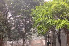 Cận cảnh nhà vườn rộng 1.000m2 của NSƯT Chiều Xuân