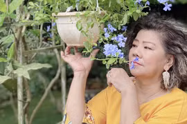 Cận cảnh nhà vườn 1.000m2 của NSND Thanh Hoa