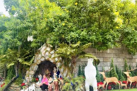 Biệt thự 60 tỷ của Đàm Vĩnh Hưng khiến dân tình đổ xô check-in 