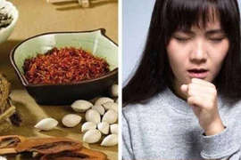 Bài thuốc bổ phế, chữa ho hiệu quả