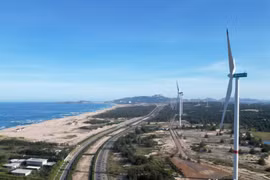 Bình Định kiến nghị 'gỡ vướng' dự án điện gió 4,6 tỷ USD