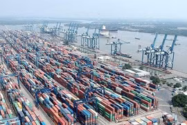 Tân Cảng Sài Gòn cam kết phối hợp điều tra vụ việc nghi 'rút ruột' hàng xuất khẩu