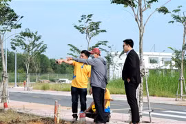 Môi giới địa ốc cần làm gì để tồn tại với thị trường mới?