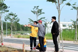 Môi giới địa ốc cần làm gì để tồn tại với thị trường mới?