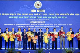 Vốn FDI vào tỉnh Quảng Nam khởi sắc trở lại