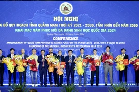 Vốn FDI vào tỉnh Quảng Nam khởi sắc trở lại