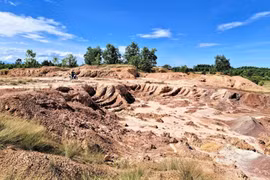 Quảng Nam thanh tra toàn diện việc thực hiện dự án trang trại xanh kết hợp du lịch