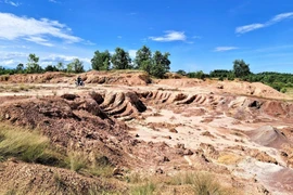 Quảng Nam thanh tra toàn diện việc thực hiện dự án trang trại xanh kết hợp du lịch