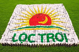 Tập đoàn Lộc Trời lợi nhuận giảm 94%, bị kiểm toán 'tuýt còi' thương vụ nội bộ