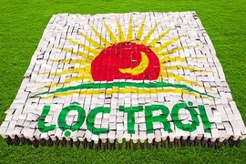 Tập đoàn Lộc Trời lợi nhuận giảm 94%, bị kiểm toán 'tuýt còi' thương vụ nội bộ