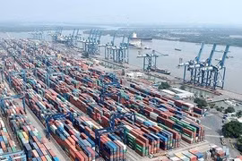 Tân Cảng Sài Gòn nói gì về thông tin hàng xuất khẩu bị 'rút ruột' tại Cát Lái?