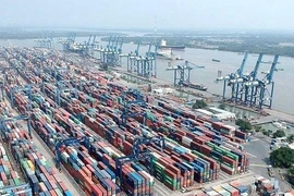 Tân Cảng Sài Gòn nói gì về thông tin hàng xuất khẩu bị 'rút ruột' tại Cát Lái?