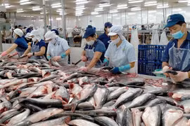 Năm 2023 kém tích cực, nhưng ngành thủy sản sẽ khởi sắc trong năm nay 