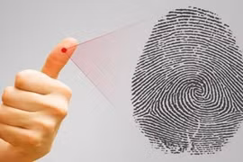 Đếm số hoa tay, đoán ngay số phận giàu sang hay nghèo khó