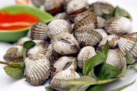 Sò huyết chữa suy nhược