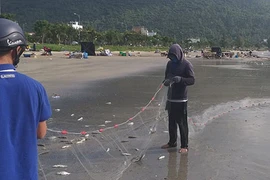 Ngón nghề cực độc: 10 phút bỏ túi 3 triệu của ngư dân Đà Nẵng