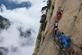 Video: Trải nghiệm thưởng trà trên đỉnh Hoa Sơn