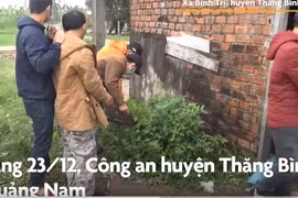 Video : Cảnh sát triệt phá đường dây phân phối ma tuý