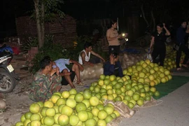 'Chợ' chỉ bán duy nhất một thứ quả, toả mùi thơm ai cũng muốn ăn