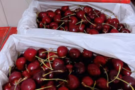 Cận Tết, hoa quả ngoại đầy ắp các siêu thị, người mua thưa vắng