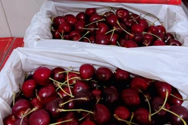 Cận Tết, hoa quả ngoại đầy ắp các siêu thị, người mua thưa vắng