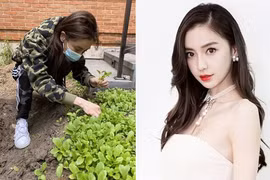 Sở hữu hàng trăm triệu USD, Angela Baby vẫn tự tay trồng rau sạch tại gia