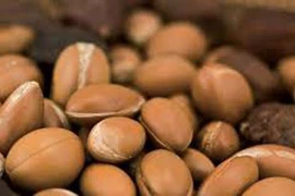 Chiêm ngưỡng “vàng lỏng” trong thế giới các loại hạt