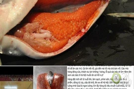 Món ăn sang chảnh rẻ chưa từng có được rao bán ngập tràn trên chợ mạng