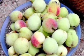 Chỉ cần lướt qua 3 giây biết ngay đào Trung Quốc tẩm thuốc