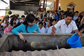 Bộ Y tế tăng cường kiểm tra phòng chống dịch bệnh do virus Zika và sốt xuất huyết 