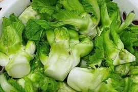 Chị em Hà thành lùng mua đặc sản mầm đá