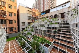 Cách Thâm Quyến phủ xanh thành phố chật hẹp