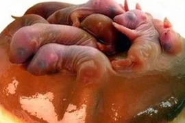 Những món ăn kinh dị nhất lịch sử do Từ Hy Thái Hậu nghĩ ra