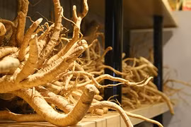 Có tiên dược này cả đời nhà bạn hiếm ai ốm đau bệnh tật