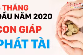 Video: Top con giáp thành công vang dội, giàu sang rực rỡ 6 tháng đầu năm 2020