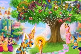 Ngày lễ Phật Đản nên làm gì để mang lại may mắn, bình an?