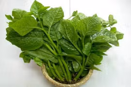 Chữa bệnh cho phái mạnh từ loại rau quen thuộc hàng ngày