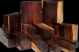 12 loại gỗ quý hiếm đắt giá nhất thế giới: Đàn hương đứng thứ mấy? 