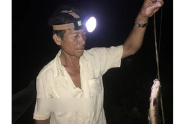 Video: Cần thủ hé lộ tuyệt chiêu câu cá lóc đồng bằng mồi nhái nhàn tênh