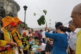 Mãn nhãn la liệt đặc sản độc lạ từ núi rừng trên đỉnh Mẫu Sơn