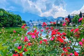 Du lịch Sapa chưa bao giờ rẻ 'dễ thở' đến thế