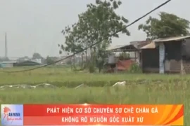 Video: Phát hiện cơ sở sơ chế chân gà không rõ nguồn gốc 