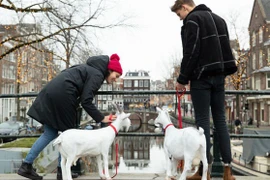 Video: Đến Amsterdam để được "tặng" chồng và hưởng trăng mật miễn phí