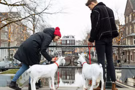 Video: Đến Amsterdam để được "tặng" chồng và hưởng trăng mật miễn phí