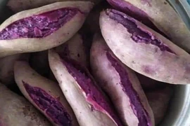 Giảng viên đại học khởi nghiệp với thứ bánh lạ, bán cả chục nghìn chiếc