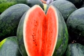 Vì sao người bán luôn bổ đôi quả dưa hấu khi bày ra sạp hàng?