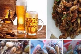 Săn lùng món nhậu mùa hè kiếm cả triệu đồng mỗi đêm