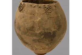 Thời kỳ đồ đá mới con người đã uống rượu vang nho hảo hạng