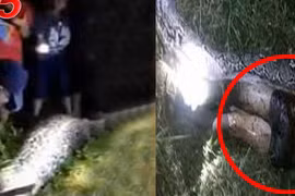 Dân làng chứng kiến cảnh tượng kinh hãi chưa từng có ở đồi cọ