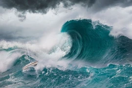 Tiên đoán kỳ lạ của nhà tiên tri Vanga về năm 2021